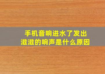 手机音响进水了发出滋滋的响声是什么原因