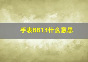 手表8813什么意思