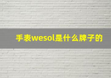 手表wesol是什么牌子的