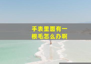 手表里面有一根毛怎么办啊