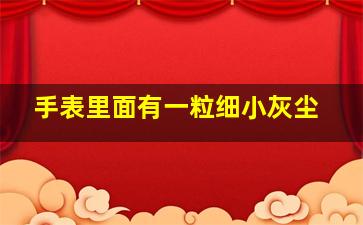 手表里面有一粒细小灰尘