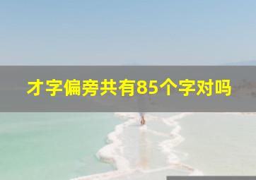 才字偏旁共有85个字对吗