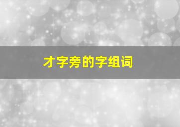 才字旁的字组词