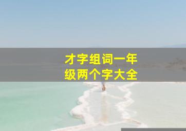 才字组词一年级两个字大全