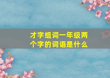 才字组词一年级两个字的词语是什么