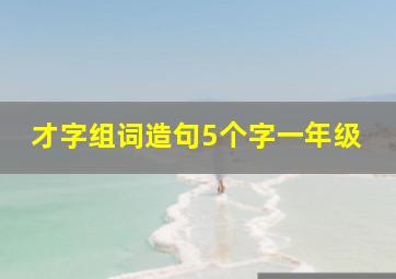 才字组词造句5个字一年级