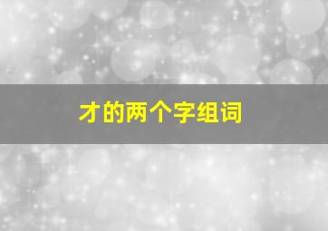 才的两个字组词