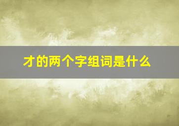 才的两个字组词是什么