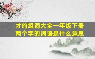 才的组词大全一年级下册两个字的词语是什么意思