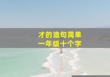 才的造句简单一年级十个字