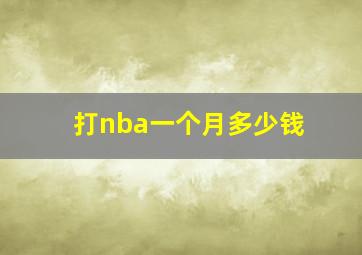 打nba一个月多少钱