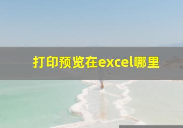 打印预览在excel哪里