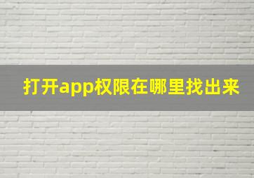 打开app权限在哪里找出来