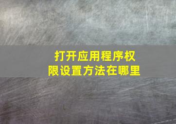 打开应用程序权限设置方法在哪里