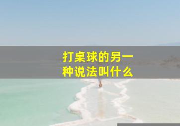 打桌球的另一种说法叫什么