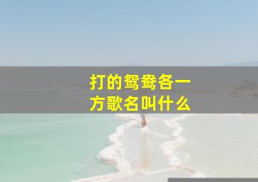 打的鸳鸯各一方歌名叫什么