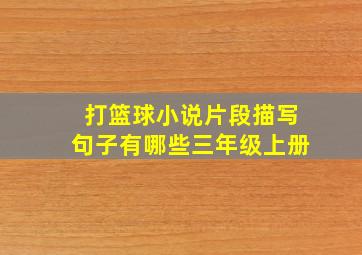 打篮球小说片段描写句子有哪些三年级上册