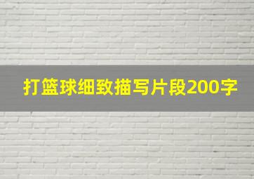 打篮球细致描写片段200字