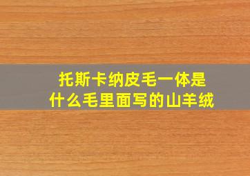 托斯卡纳皮毛一体是什么毛里面写的山羊绒