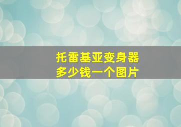 托雷基亚变身器多少钱一个图片