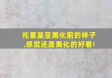 托雷基亚黑化前的样子,感觉还是黑化的好看!