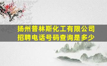 扬州普林斯化工有限公司招聘电话号码查询是多少