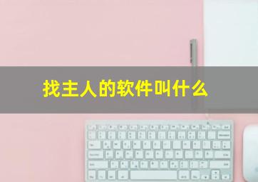 找主人的软件叫什么