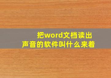 把word文档读出声音的软件叫什么来着