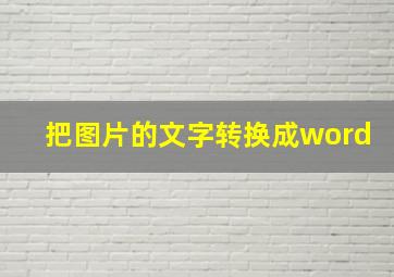 把图片的文字转换成word