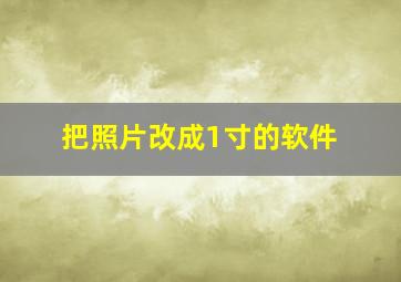 把照片改成1寸的软件