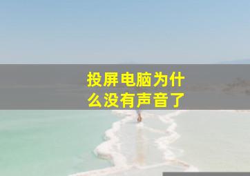 投屏电脑为什么没有声音了