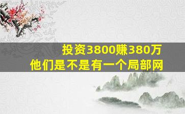 投资3800赚380万他们是不是有一个局部网