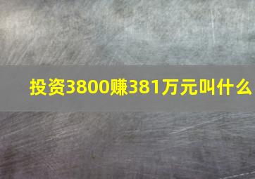 投资3800赚381万元叫什么