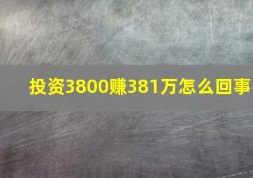 投资3800赚381万怎么回事