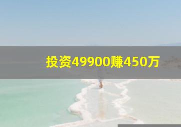 投资49900赚450万