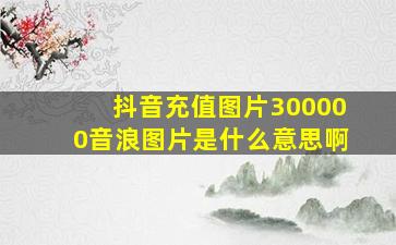 抖音充值图片300000音浪图片是什么意思啊