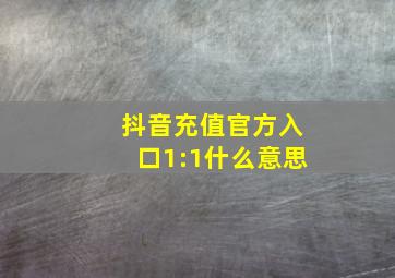 抖音充值官方入口1:1什么意思