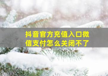 抖音官方充值入口微信支付怎么关闭不了