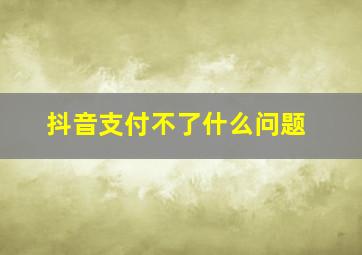 抖音支付不了什么问题