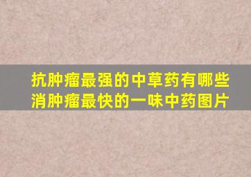 抗肿瘤最强的中草药有哪些消肿瘤最快的一味中药图片