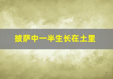 披萨中一半生长在土里