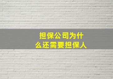 担保公司为什么还需要担保人