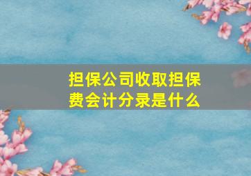 担保公司收取担保费会计分录是什么