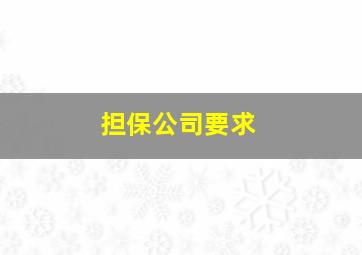 担保公司要求