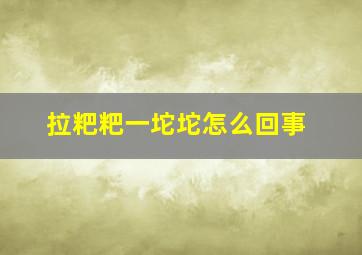 拉粑粑一坨坨怎么回事