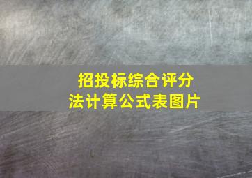 招投标综合评分法计算公式表图片