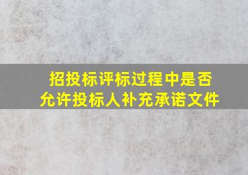 招投标评标过程中是否允许投标人补充承诺文件