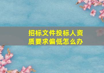 招标文件投标人资质要求偏低怎么办