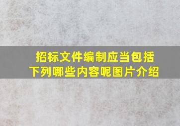 招标文件编制应当包括下列哪些内容呢图片介绍