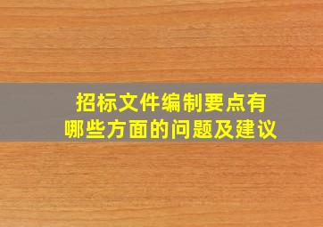 招标文件编制要点有哪些方面的问题及建议